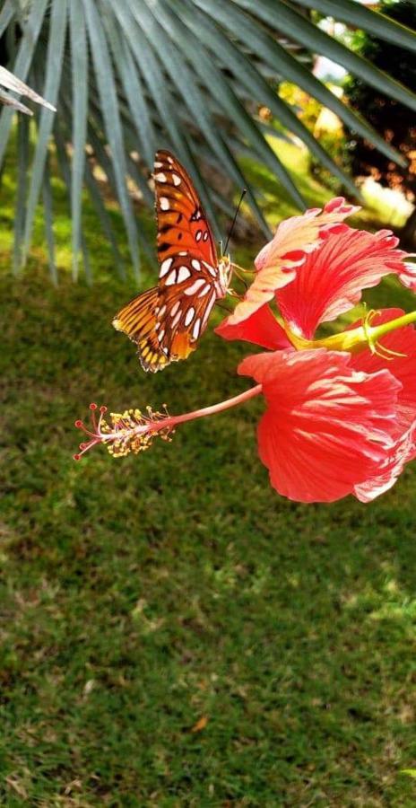 Villas Guanacaste Potrero  Dış mekan fotoğraf