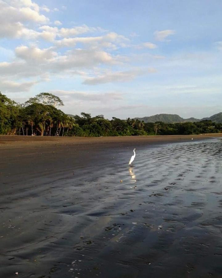 Villas Guanacaste Potrero  Dış mekan fotoğraf
